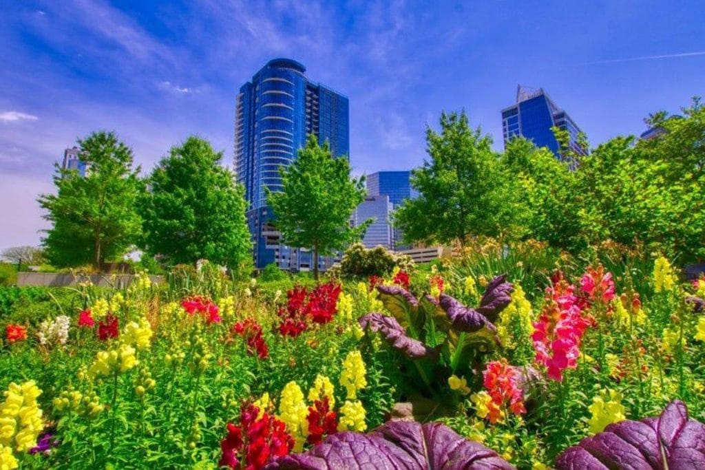6 Of The Prettiest Parks to Picnic And Play At This Spring in Charlotte