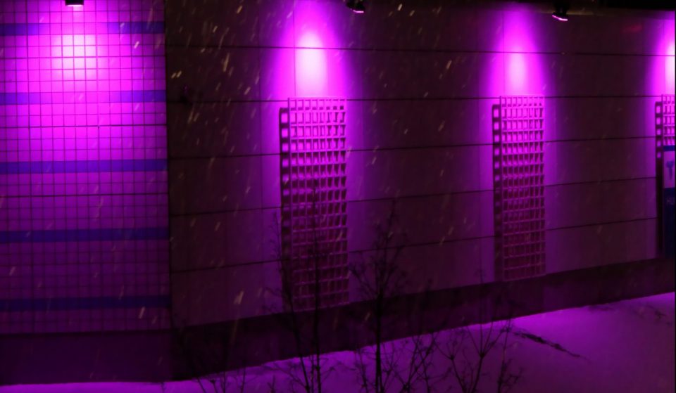 Why Are There So Many Purple & Blue Streetlights In Charlotte?