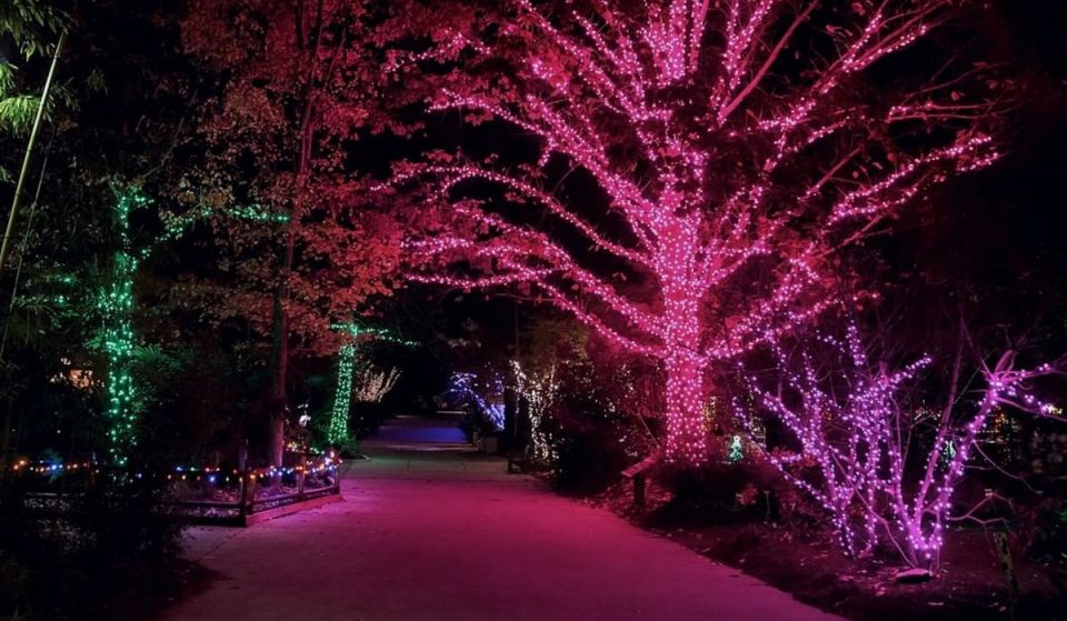 7 Magical Must-See Light Shows To Dazzle You Around Charlotte