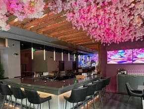 Eat Sushi Among Cherry Blossom Trees At This Stunning New Restaurant In Charlotte