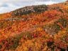 7 Breathtaking Places To See The Fall Foliage On A North Carolina Road Trip