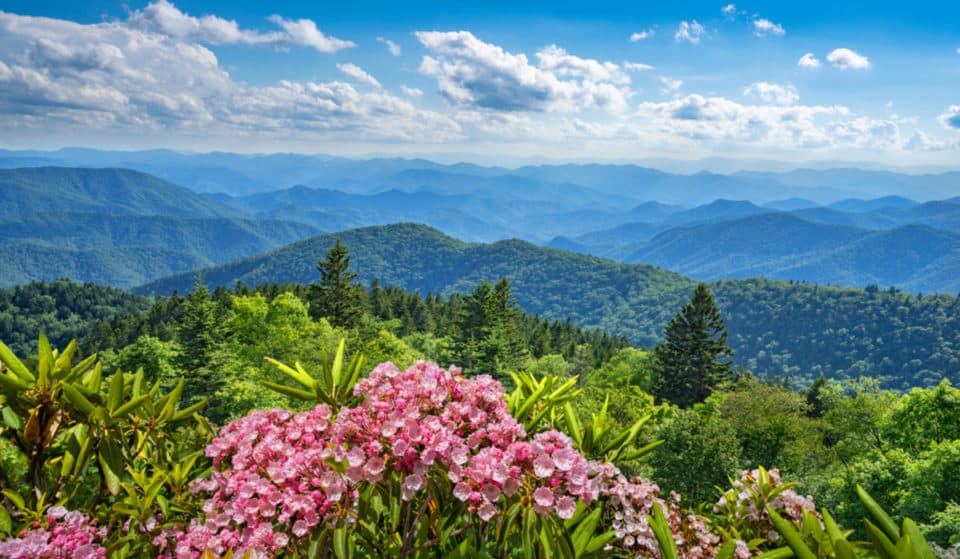 9 Fantastic Things To Do In North Carolina This Spring